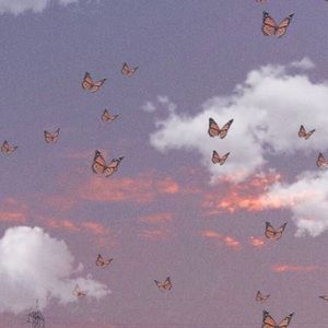 Meet your Posher, Huldah